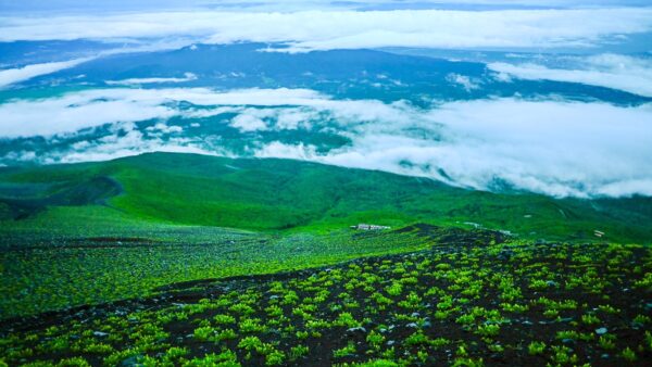 富士登山の記録