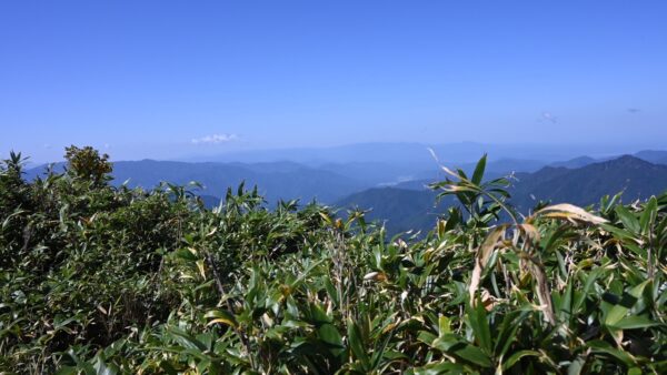 氷ノ山登ってきました